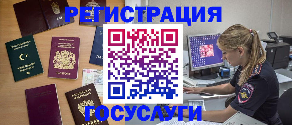 прописка для школы в Новгородской области